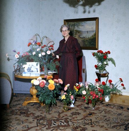 Fru Karlberg Kisa
raja
Kvinna som firar sin 70-årsdag omgärdad av blommor
Nyckelord: Karlberg Kisa