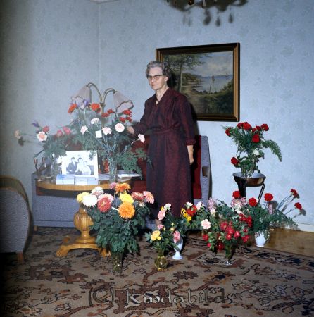 Fru Karlberg Kisa
raja
Kvinna som firar sin 70-årsdag omgärdad av blommor
Nyckelord: Karlberg Kisa