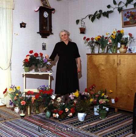 Fru Iva Pettersson Kisa-Hus D
raja
Foto på kvinna omgiven av blommor
Nyckelord: Pettersson Kisa
