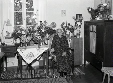 Fru Johansson Hagaborg Kisa
raja
Kvinna som firar sin 85-årsdag sitter vid ett bord fyllt med blommor
Nyckelord: Johansson Kisa