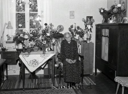 Fru Johansson Hagaborg Kisa
raja
Kvinna som firar sin 85-årsdag sitter vid ett bord fyllt med blommor
Nyckelord: Johansson Kisa