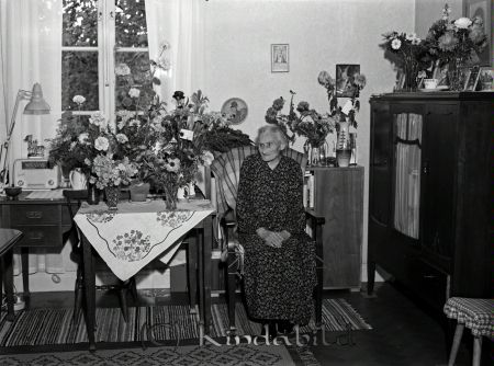 Fru Johansson Hagaborg Kisa
raja
Kvinna som firar sin 85-årsdag sitter vid ett bord fyllt med blommor
Nyckelord: Johansson