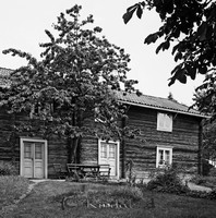 Filnamn=Petters. - Kv0056z.jpg
Filstorlek=67KiB
Dimensioner=444x450
Uppladdade datum=Aug 06, 2010 Petters. - Kv0056z.jpg