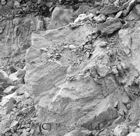 Filnamn=Petters. - ext - 0358-07.jpg
Filstorlek=69KiB
Dimensioner=450x437
Uppladdade datum=Aug 06, 2010 Petters. - ext - 0358-07.jpg