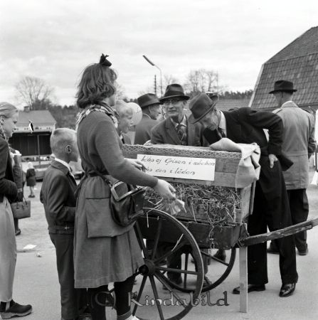 Kise Marken
raja
En låda med en beskådad gris i 

raja
Mitt i bild Anders Johansson i Urkhagen och till höger Ernst Andersson Dansbo far till Karl-Erik Andersson Urkhagsvägen Kisa.
Källa: Studiegruppen hembygdsgård 
Nyckelord: Marken Kise