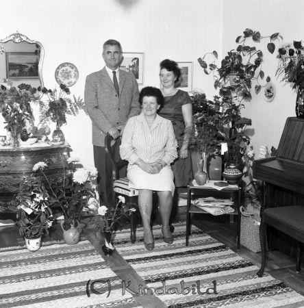 Viola Gustavsson Tystberga
raja
Kvinna som firas med blommor på sin 50-årsdag tillsammans med en man och en kvinna
Nyckelord: Gustavsson Tystberga