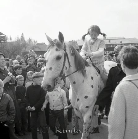 Kise Marken Kisa
raja
Pippi Långstrump (Inger Nilsson) på  sin svartprickiga häst
Nyckelord: Marken Kisa
