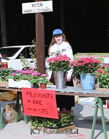  Kise-Marken
raja
Blommor till försäljning 
Nyckelord: Rosander Kisa