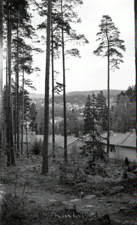 Kindavyer
raja
Foto taget i skogen mot bebyggelse
gepe
Radhusen på Fimongatan i Kisa bygges 1967. 
Källa: Gerd Pettersson
 

