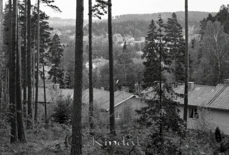 Kindavyer
raja
Foto taget i skogen mot bebyggelse
