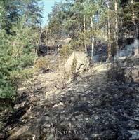Petters. - Kv0078d - ej nr - ej lapp.jpg