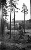 Petters. - Kv0081 - ej nr - ej lapp.jpg