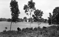 Petters. - Kv0083 - ej nr - ej lapp.jpg