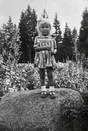 Petters. - reprod 0054 - ej nr - ej lapp.jpg