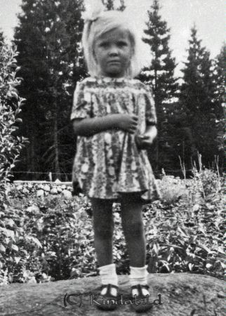 Petters. - reprod 0054z - ej nr - ej lapp.jpg