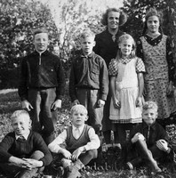 Petters. - reprod 0116z - HDx01 - ej nr - ej lapp.jpg