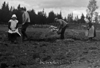 Filnamn=Ramst. - 0193z.jpg
Filstorlek=27KiB
Dimensioner=450x307
Uppladdade datum=Aug 16, 2010 Ramst. - 0193z.jpg