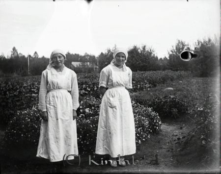 Vid runddelen
mayca
Två matmammor framför prunkande blomsterrabatt.
Nyckelord: Ramstedt Korpklev Kalv