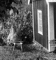 Filnamn=Ramst. - 0390z - HDx02.jpg
Filstorlek=53KiB
Dimensioner=417x450
Uppladdade datum=Aug 16, 2010 Ramst. - 0390z - HDx02.jpg