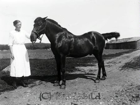 Kvinna med häst
mayca
Se föreg. bild. Samma kvinna sitter längst till höger.
Nyckelord: Ramstedt Korpklev