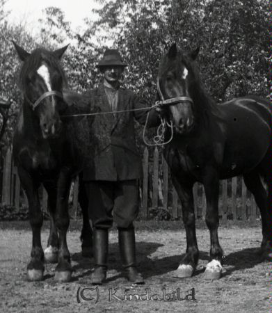 Hästar
mayca
Olof Norde´n mellan två hästar. 
Nyckelord: Ramstedt Korpklev