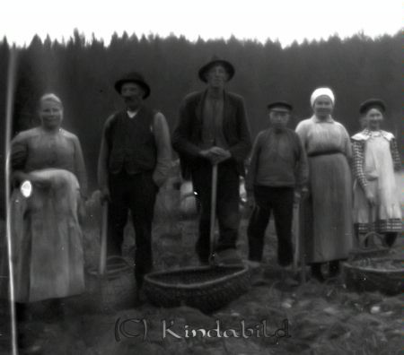 Skördearbete
mayca
Det gäller att sortera rätt, matpotatisen i en sorts korg, svinpärana i den andra.
Nyckelord: Ramstedt Korpklev