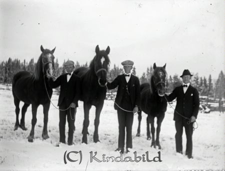 Hästar
mayca
Hästkarlar med sina kamrater.
Nyckelord: Ramstedt Korpklev