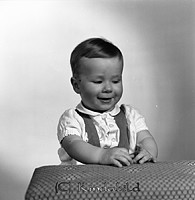 Petters. - 1379d.jpg