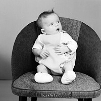 Petters. - 1476e.jpg