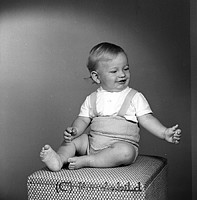 Petters. - 1493l.jpg