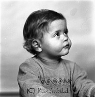 Petters. - 1621-01f.jpg