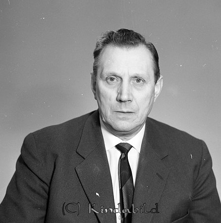 Einar Johansson Solliden Kisa
raja
Man klädd i skjorta slips och kavaj

Nyckelord: Einar Johansson Kisa