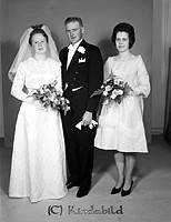 Petters. - 4242-00i.jpg