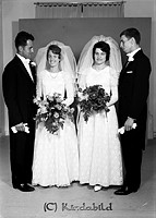 Petters. - 4339-01c.jpg