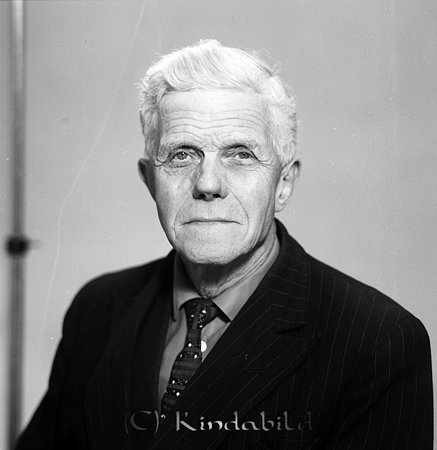Gunnar Andersson Hagaborg Kisa
raja
Man klädd i skjorta slips och kavaj

Nyckelord: Andersson Kisa