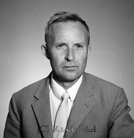Henry Ydringer Årteflod
raja
Man klädd i skjorta slips och kavaj

Nyckelord: Ydringer Årteflod