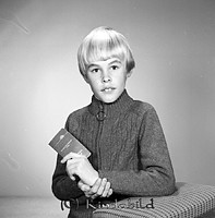 Petters. - 8633e.jpg