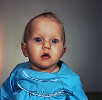 Petters. - 8678f.jpg
