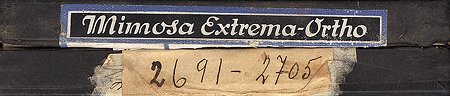 Falk - Box - 2691 - 2705 - Sidnr.jpg