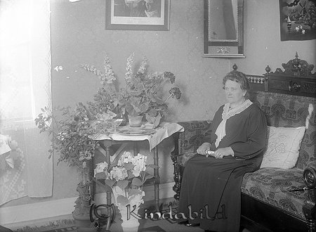 Fru Karlsson Oxelkulla Kisa
raja
Kvinna klädd i klänning som sitter i en soffa bredvid ett bord fyllt med blommor  

Nyckelord: Karlsson Kisa