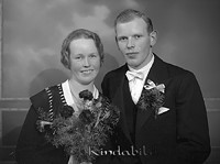 Filnamn=Falk - 3168a.jpg
Filstorlek=26KiB
Dimensioner=450x336
Uppladdade datum=Sep 30, 2013 Falk - 3168a.jpg