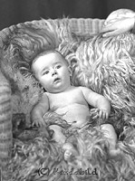 Filnamn=Falk - 3229d.jpg
Filstorlek=41KiB
Dimensioner=336x450
Uppladdade datum=Sep 30, 2013 Falk - 3229d.jpg