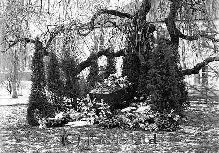 Andersson Ågården
raja
Blommbeklädd kista som står under ett träd

raja
Kistan med landstingsman Anders Johan Andersson Ågården Kisa. 
Källa: Gerd Pettersson 

Nyckelord: Andersson Ågården