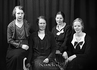 Filnamn=Falk - 3289a.jpg
Filstorlek=30KiB
Dimensioner=450x329
Uppladdade datum=Sep 30, 2013 Falk - 3289a.jpg