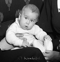 Filnamn=Falk - 3390cz.jpg
Filstorlek=49KiB
Dimensioner=437x450
Uppladdade datum=Sep 30, 2013 Falk - 3390cz.jpg