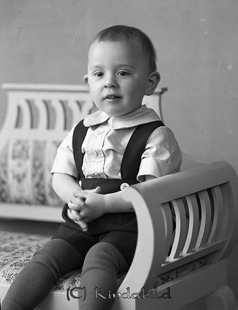 Tage Gustavsson Fröåsa Kisa
raja
Pojke klädd i en kortbyxor och kortärmad skjorta

raja
Tage Gustavsson (1932-1985), son till Algot Gustavsson, Fröåsa Norrgård.
Tage blev åkeriägare och hade lastbil och lastmaskin. 
Källa: Gerd Pettersson 

raja
Tages mamma hette Vera och hans bror hette Bertil. På 50-talet drev Tage taxirörelse och körde bl.a. skolskjutsar. 
Källa: mayca

Nyckelord: Gustavsson Kisa