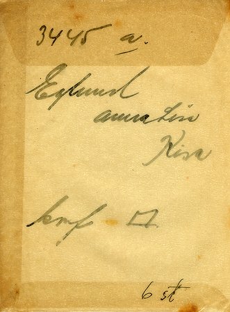 Anna-Lisa Eglund Kisa
Nyckelord: Eglund Kisa
