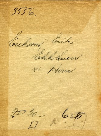 Falk - 3556 - bak.jpg