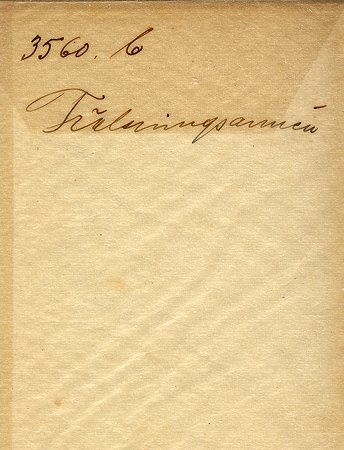 Falk - 3560bz - HDx02 - bak.jpg