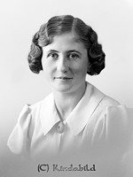 Falk - 3546b.jpg